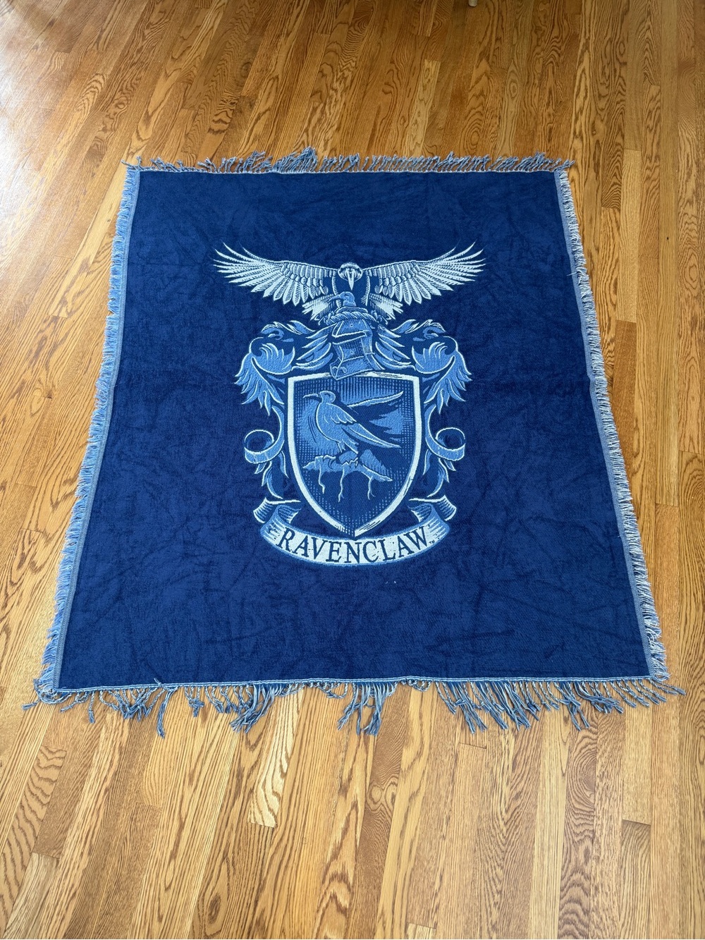 PBTeen Ravenclaw Harry Potter Chenille Throw Blanket - House Crest, 50x60